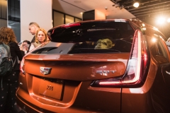 2019 Cadillac XT4 exterior live reveal 026 rear end
