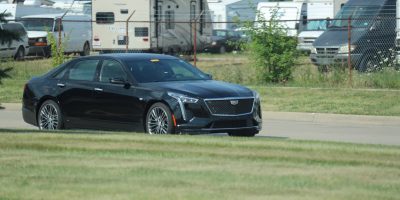 2019 Cadillac CT6 Sport Takes A Stroll In The Sun: Image Gallery