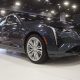 Cadillac CT4 Premium Luxury: Live Photo Gallery