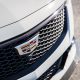 How Much Revenue Did Cadillac Bring In During Q2 2024?