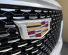 Cadillac Mexico Sales Down Two Percent In August 2023